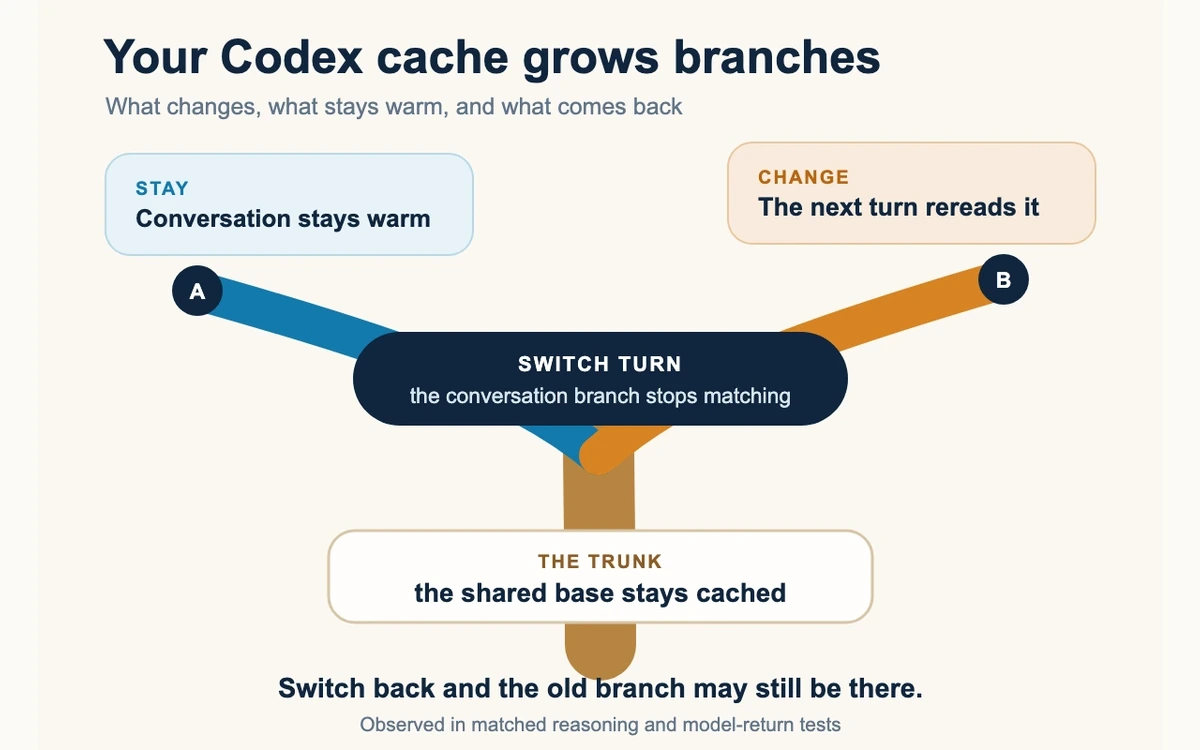 A tree-shaped model of Codex prompt caching shows a shared cached base, two conversation branches, a colder switch turn, and the possible return of an earlier branch.